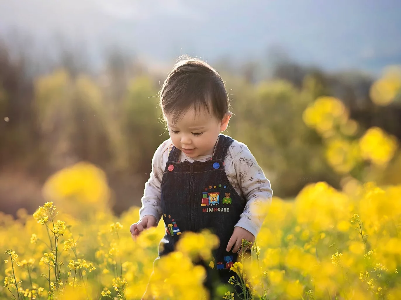 Enfant en salopette explorant un champ de fleurs jaunes sous une lumière douce